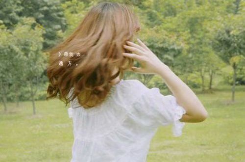 豆玩appV5.5专业版