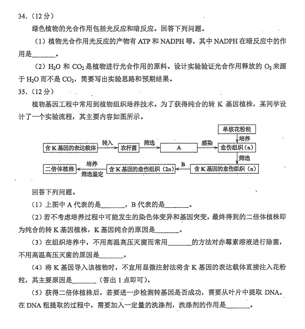 口袋侦探2