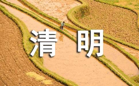 国际利来V2.2专业版