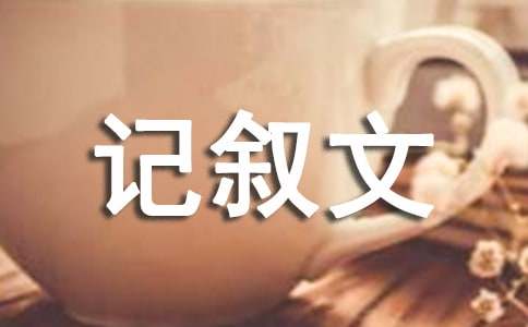 开云app登录入口app