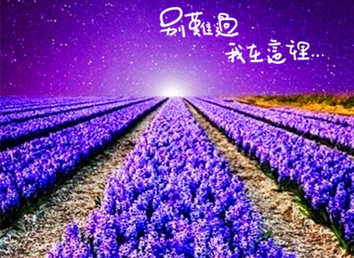爱游戏在线网页版V5.4专业版