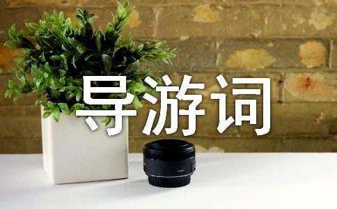 河南汽车维修平台APP