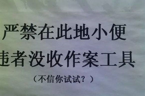 球赛appapp