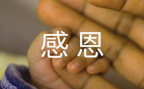 奇迹大陆ios版手游