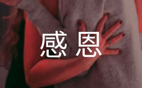 创世红海appV5.6专业版