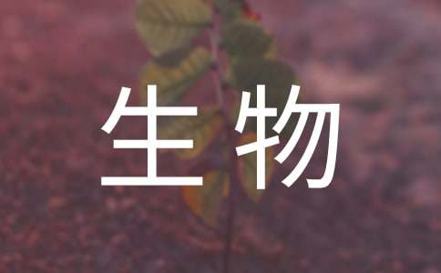 灵魂筹码2025最新版UI界面与角色选择