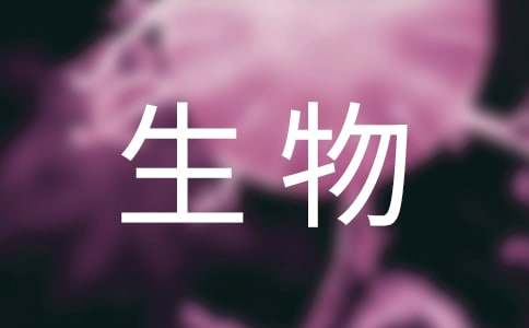 u盘坏块检测修复工具(check flash)