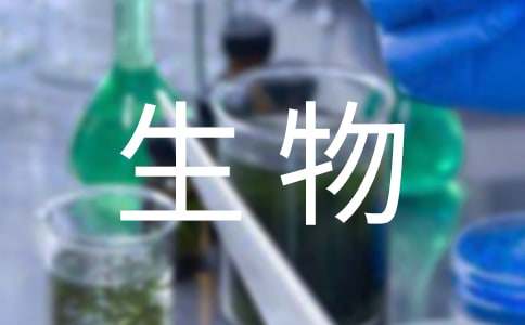 开云官方网站在线登录