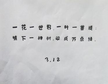 星耀国际appV3.1专业版