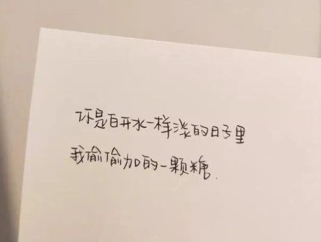 贵州药材APP