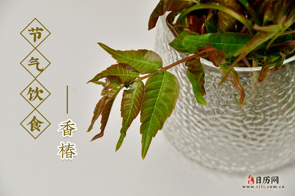 pg游戏网页版V6.5专业版