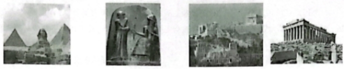 植物赛跑者手游(Plant Runner)