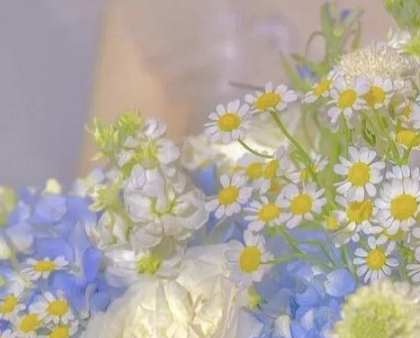 开云在线手机入口官网安卓版二维码