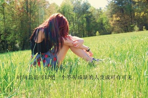 炮炮兵qq表情包大全