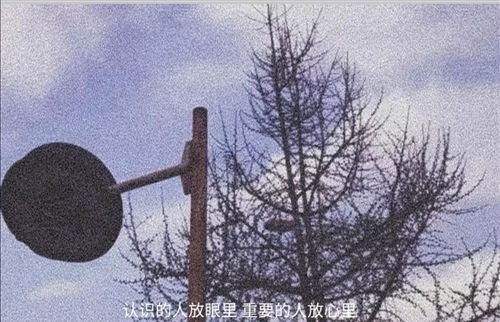 kaiyun体育app官网下载是否需要付费V5.6专业版