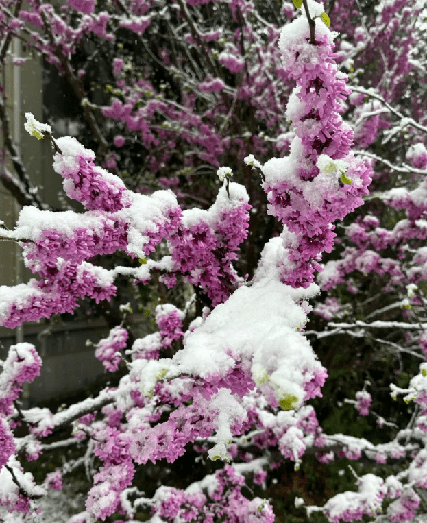 贝博下载APP安卓版二维码