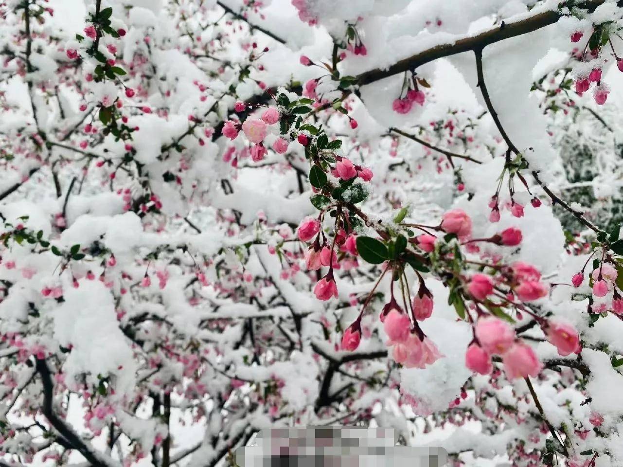 多宝运动注册2025版工坊制造新界面