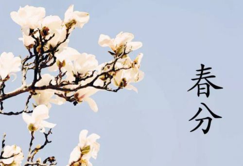 最大外围平台V8.7专业版