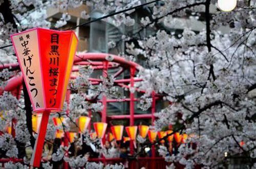 这个江湖不太冷