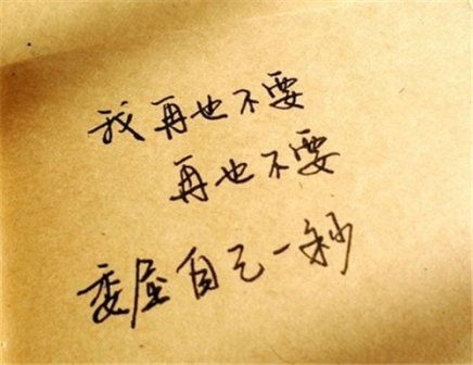 威尼app安卓版二维码