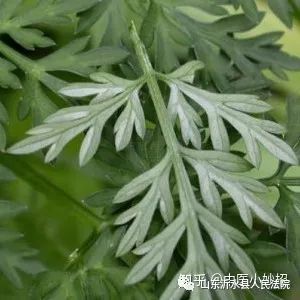 开云官方手机登录入口V3.8专业版