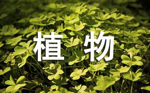 kaiyun体育app官网下载安装所需权限2025版团队战术配合画面