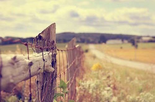winkawaks中文版(街机模拟器)