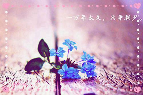 星际体育app安卓版二维码