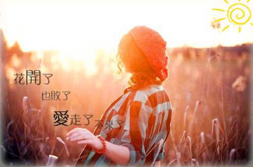 贵州药材APP