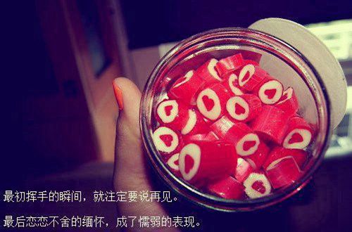 贵州药材APP