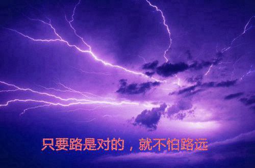 开云官方官网登录入口V8.6专业版