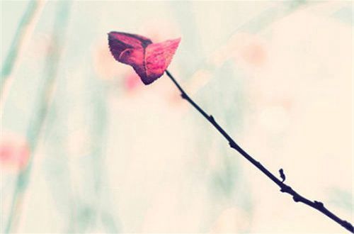 57365线路检测中心appV5.7专业版