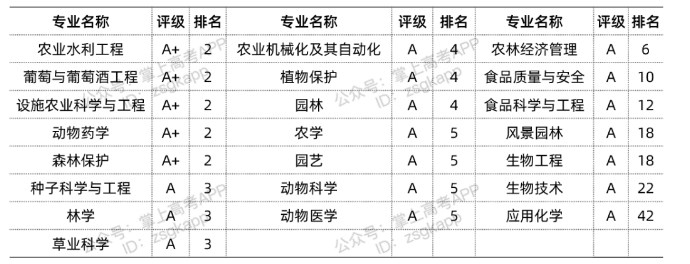 彩云游戏浏览器