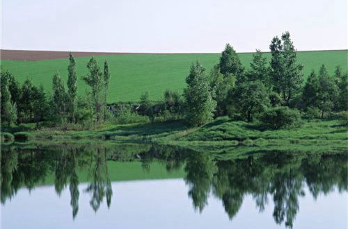 河南汽车维修平台APP