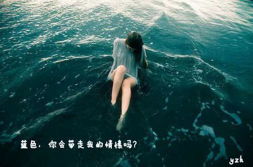 贵州药材APP