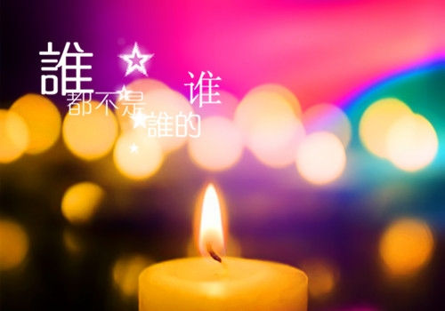 147体育app2025版藏身处管理界面
