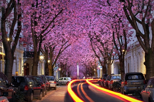 开云官方链接V5.2专业版