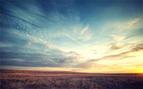 果盘游戏数码宝贝超变