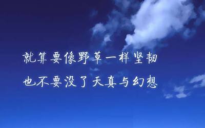 卡巴斯基密码管理(Kaspersky Password Manager)