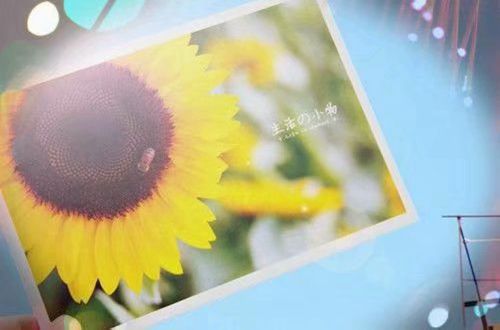 SG·亚洲胜游appV4.8专业版