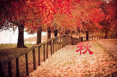 贵州药材APP