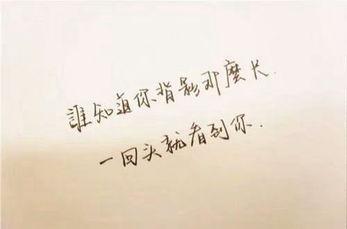 贵州药材APP