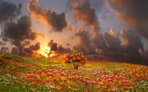 河南汽车维修平台APP