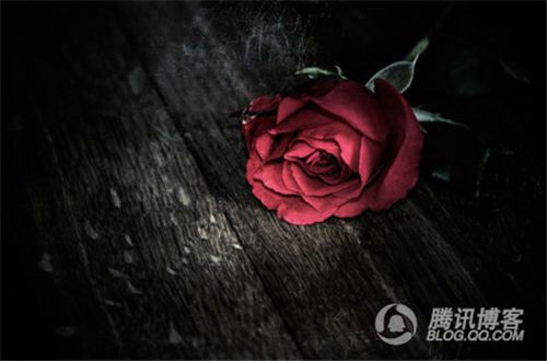 博亚体育网登录V2.5专业版
