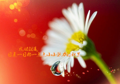美图秀秀绿色去广告版