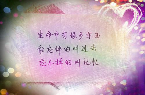 澳门官方认证投注登录