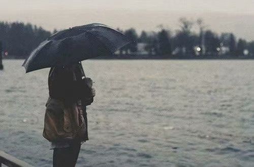 开云在线登陆入口