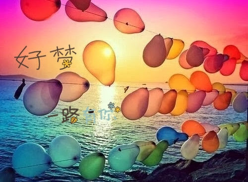 云开体育app网页版入口官网登录V8.2专业版