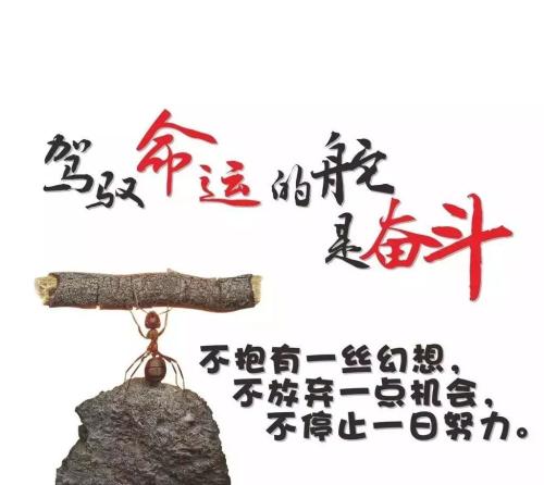 明发app 新版 北冥雪原开放世界场景