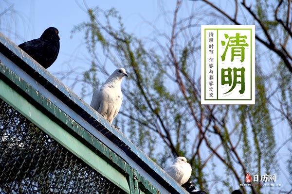 疯狂猜图答案通电脑版